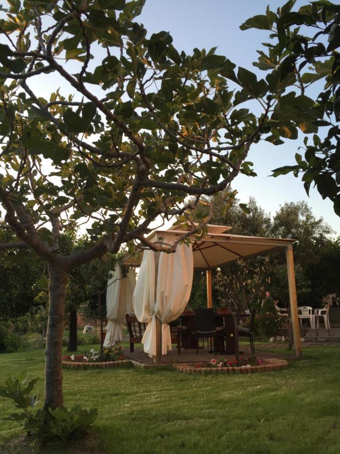 B&B Villa Magna Grecia Lazzaro Buitenkant foto