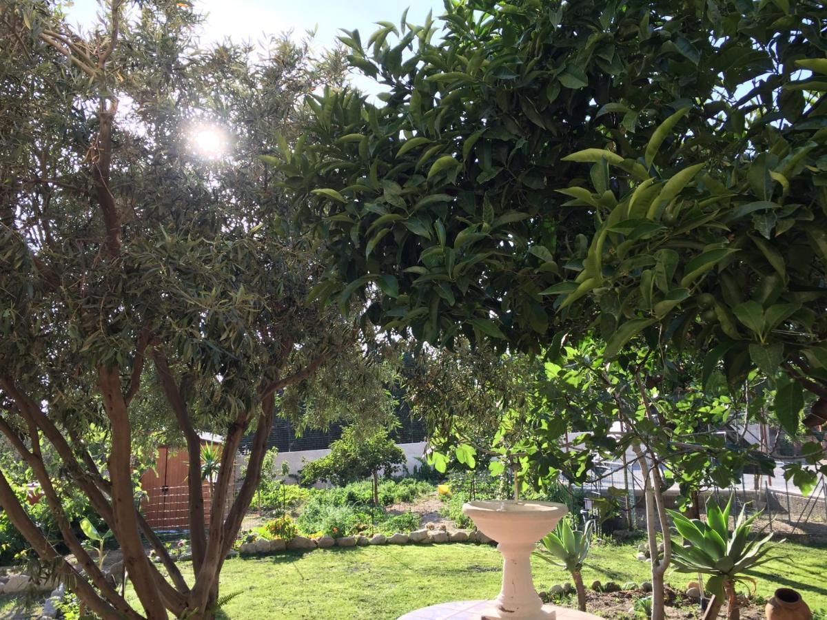 B&B Villa Magna Grecia Lazzaro Buitenkant foto